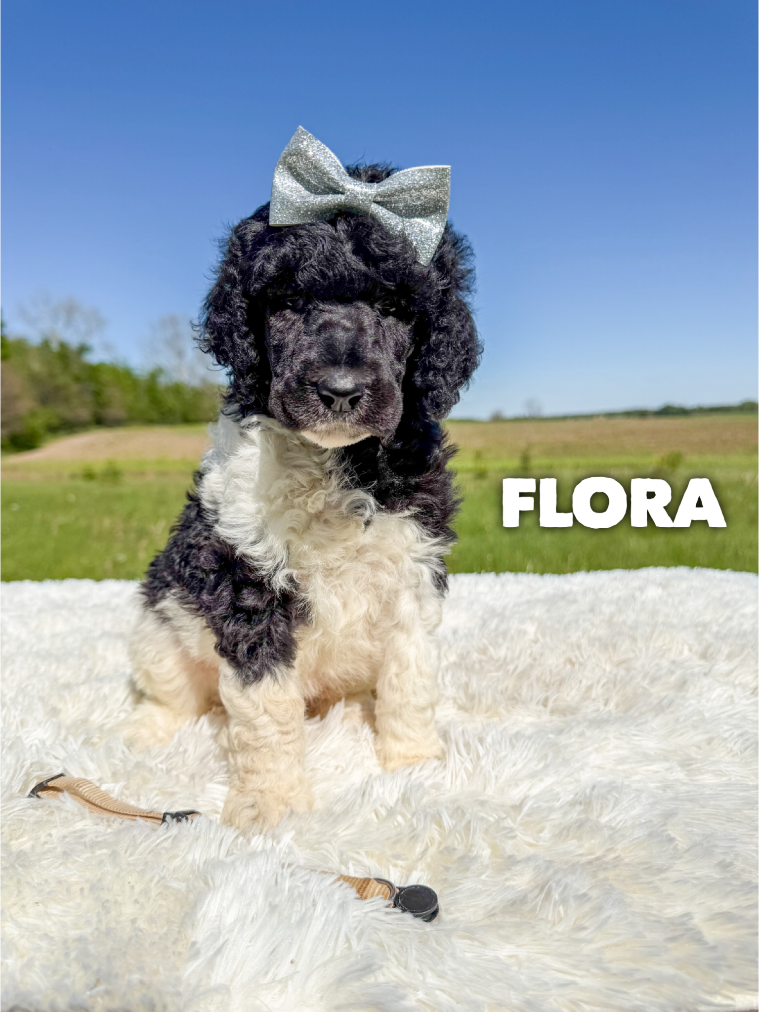 Flora 1